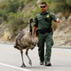 “Sir, please stay on the sidewalk.” (Reuters/Mike Blake)